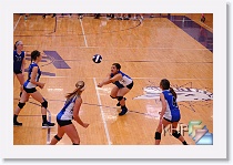 vs THigh * (177 Slides)